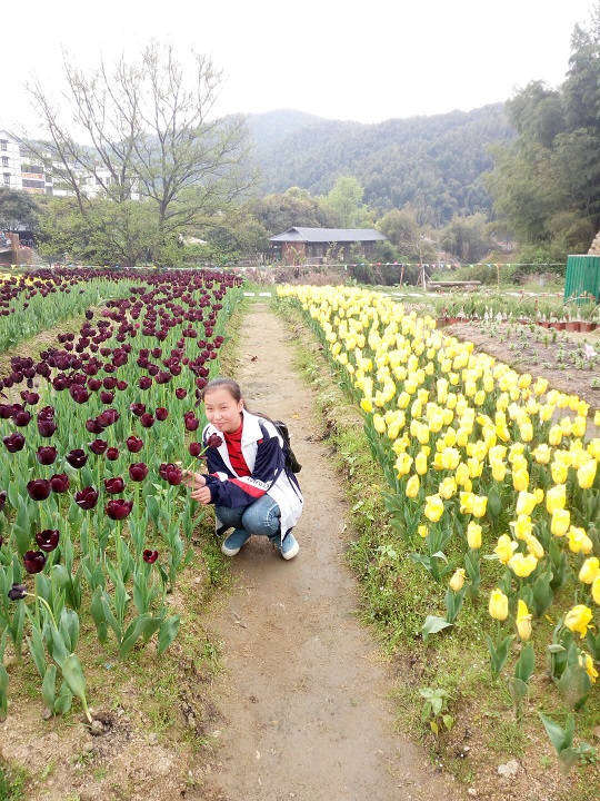 李明悅1.jpg 李明悅1.jpg