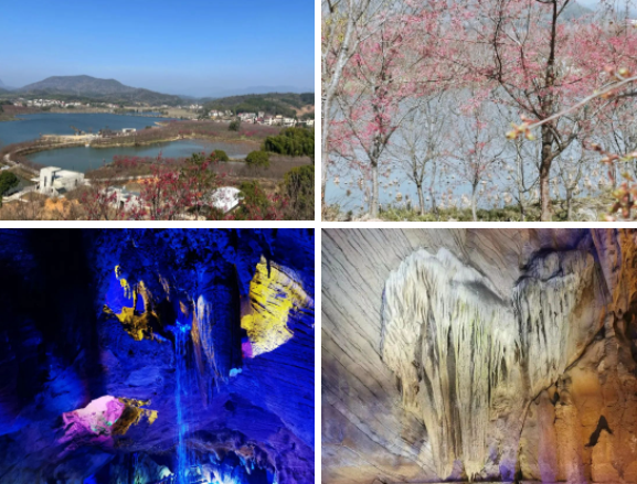 1680924539139.png 1680924539139.png